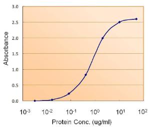 Anti-PAX4 Goat Polyclonal Antibody