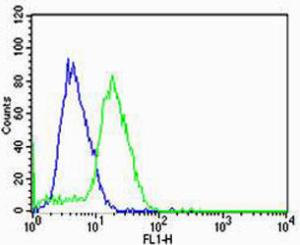 Anti-HBG2 Rabbit Polyclonal Antibody