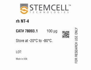 Human recombinant NT-4