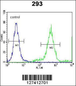 Anti-FAM26E Rabbit Polyclonal Antibody (APC (Allophycocyanin))