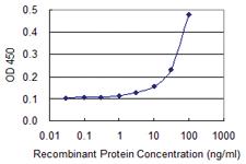 Anti-EIF5A Mouse Monoclonal Antibody [clone: 8C1]