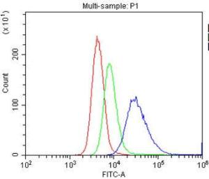 Anti-CD86/B7-2 Polyclonal Antibody