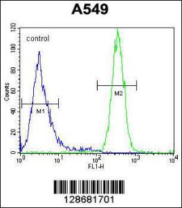 Anti-SYNCI Rabbit Polyclonal Antibody (AP (Alkaline Phosphatase))