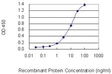 Anti-EDEM2 Mouse Monoclonal Antibody [clone: 2E4]