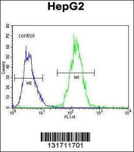 Anti-RDH13 Rabbit Polyclonal Antibody