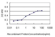 Anti-HOXC4 Mouse Monoclonal Antibody [clone: 1E9]