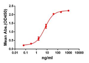 Anti-GPCR GPRC5D antibody