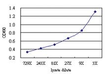 Anti-LILRA3 Antibody Pair