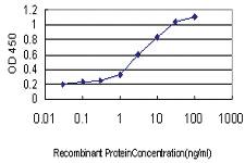 Anti-APOL3 Mouse Monoclonal Antibody [clone: 4E5]