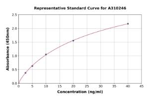 Representative standard curve for Human PCOLCE ELISA kit (A310246)