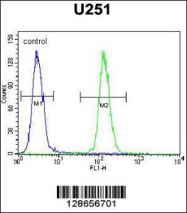 Anti-ICEF1 Rabbit Polyclonal Antibody