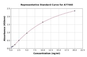 Representative standard curve for Human Topoisomerase II alpha ELISA kit (A77440)