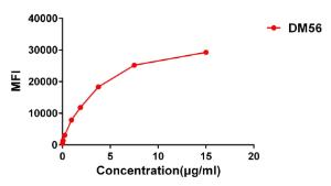 Anti-Syndecan-1 Rabbit Recombinant Antibody [clone: DM56]