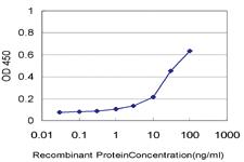 Anti-ZFP36L1 Mouse Monoclonal Antibody [clone: 1A3]