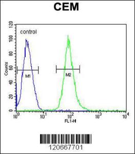 Anti-HCK Rabbit Polyclonal Antibody (APC (Allophycocyanin))