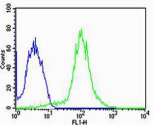 Anti-FBXL17 Rabbit Polyclonal Antibody