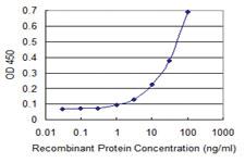 Anti-IKBKE Mouse Monoclonal Antibody [clone: 3D11]