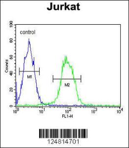 Anti-T150A Rabbit Polyclonal Antibody