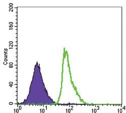 Anti-FCER2 Mouse Monoclonal Antibody [clone: 5B5]