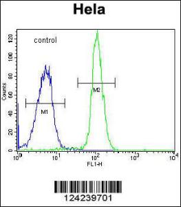 Anti-ADPRHL2 Rabbit Polyclonal Antibody (AP (Alkaline Phosphatase))