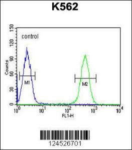 Anti-HDAC2 Rabbit Polyclonal Antibody (APC (Allophycocyanin))