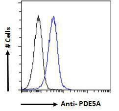 Anti-PDE5A antibody