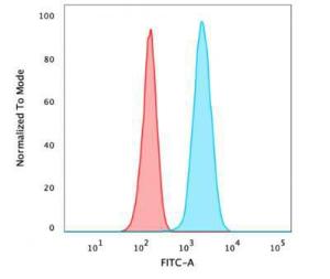 Flow cytometric analysis of PFA fixed U87 cells using Anti-Vinculin Antibody [VCL/3617] followed by Goat Anti-Mouse IgG (CF&#174; 488) (Blue). Isotype Control (Red)