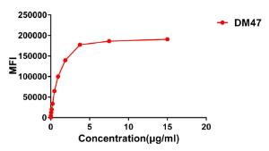 Anti-ACE2 Rabbit Recombinant Antibody [clone: DM47]