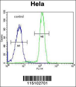 Anti-SP5 Rabbit Polyclonal Antibody