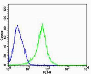 Anti-REG3A Rabbit Polyclonal Antibody