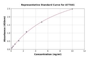 Representative standard curve for Human Topoisomerase II beta/TOP2B ELISA kit (A77441)