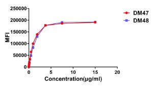 Anti-ACE2 Rabbit Recombinant Antibody [clone: DM47]