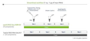 sparQ RNA-Seq HMR Kit workflow