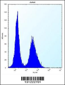 Anti-NBPF5P Rabbit Polyclonal Antibody (AP (Alkaline Phosphatase))