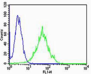 Anti-PSEN2 Rabbit Polyclonal Antibody