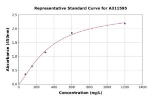 Representative standard curve for Human STOP ELISA kit (A311595)