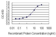 Anti-EBF4 Mouse Monoclonal Antibody [clone: 4E10]