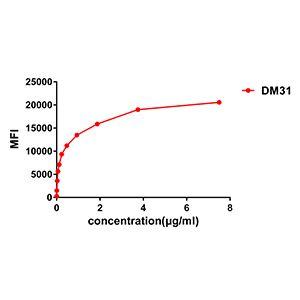 Anti-IL3RA/CD123 Rabbit Recombinant Antibody [clone: DM31]