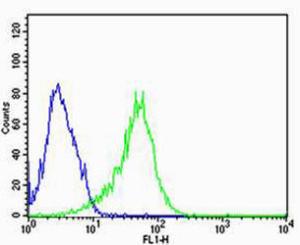 Anti-NDUFC2 Rabbit Polyclonal Antibody