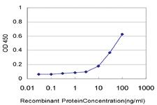 Anti-ELF3 Mouse Monoclonal Antibody [clone: 1F12]