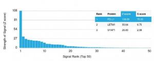 Analysis of protein array containing more than 19000 full-length human proteins using Anti-PD-L1 Antibody [PDL1/2745]