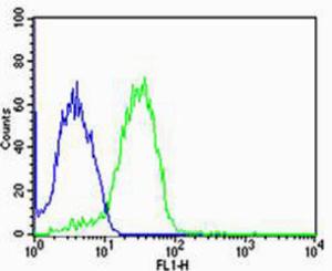 Anti-UIMC1 Rabbit Polyclonal Antibody