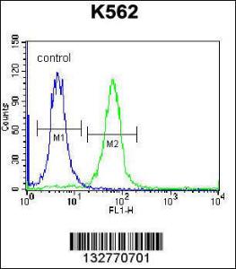 Anti-SP6 Rabbit Polyclonal Antibody (AP (Alkaline Phosphatase))