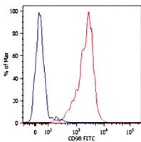 Anti-SLC3A2 Mouse Monoclonal Antibody [clone: MEM-108]