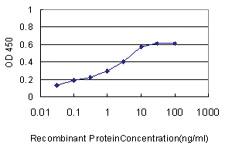 Anti-ZG16B Mouse Monoclonal Antibody [clone: 4D1-1B11]