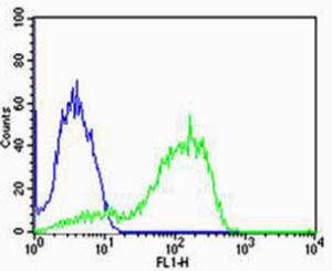 Anti-AGAP8 Rabbit Polyclonal Antibody