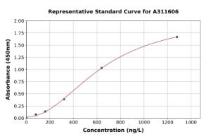 Representative standard curve for Human KLF4 ELISA kit (A311606)