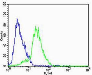 Anti-STRADA Rabbit Polyclonal Antibody