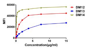 Affinity ranking of different rabbit monoclonal Anti-CD22 Antibodies by titration of different concentrations onto Raji cells. The Y-axis represents the mean fluorescence intensity (MFI) while the X-axis represents the concentration of IgG used