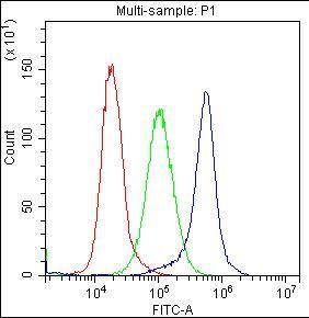 Anti-CD59 Polyclonal Antibody